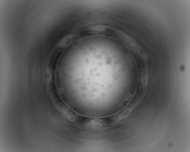 X0000102280758200807251358