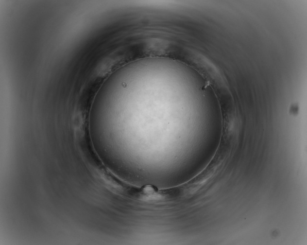 X0000102280759200807251358