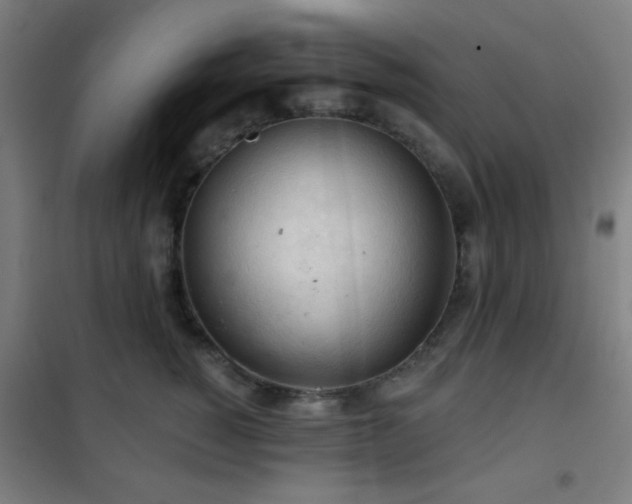 X0000102280760200807251358