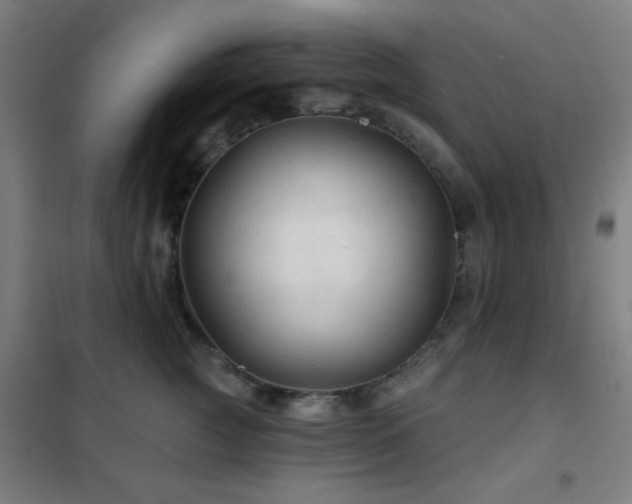 X0000102280761200807251358