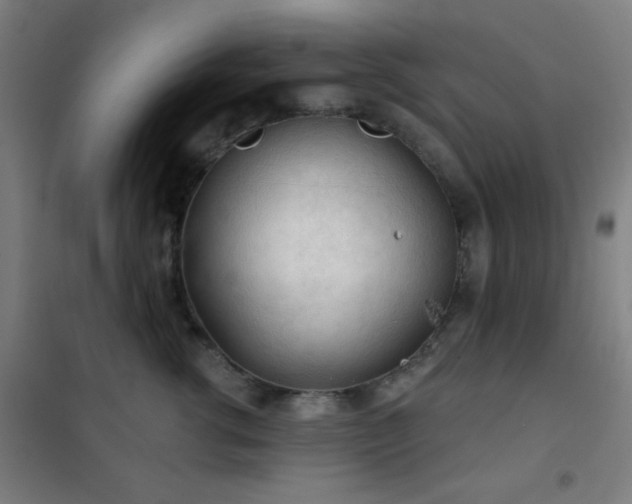 X0000102280762200807251358