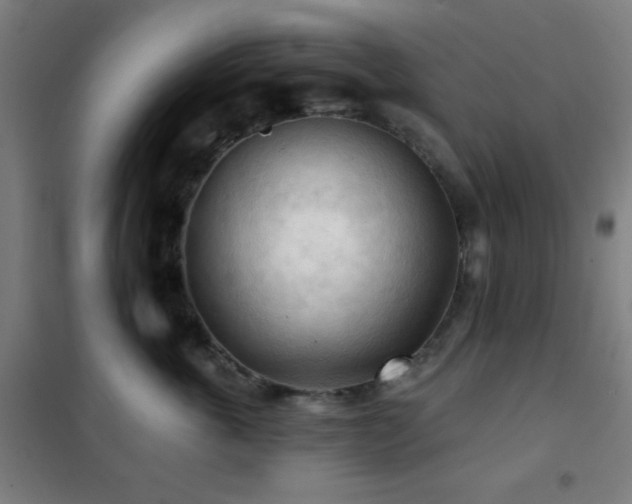 X0000102280763200807251358