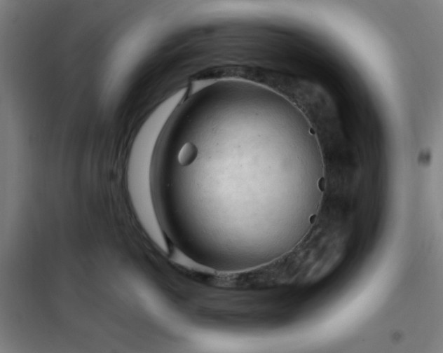 X0000102280766200807251358