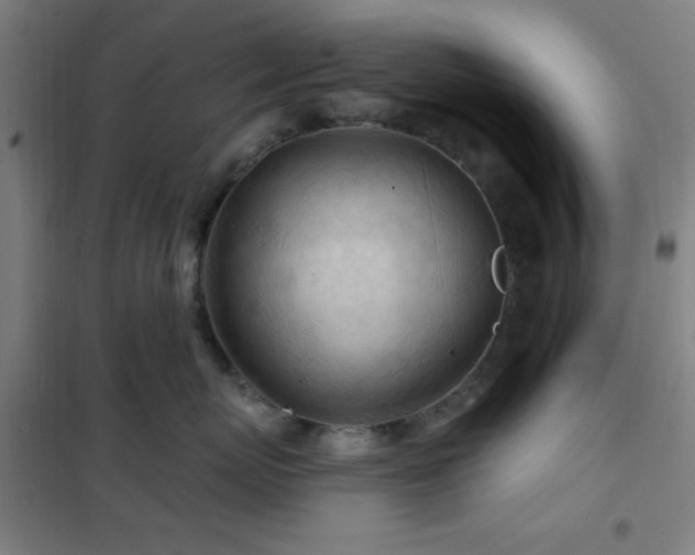 X0000102280767200807251358