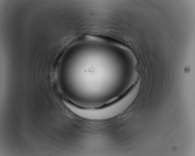 X0000102280768200807251358