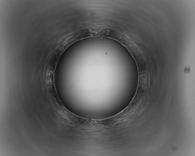 X0000102280770200807251357