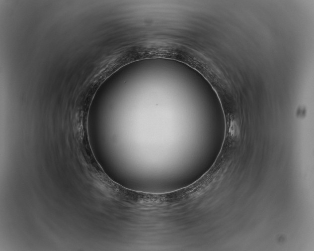 X0000102280771200807251357