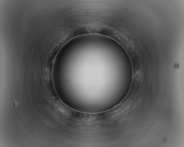 X0000102280772200807251357