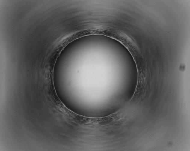 X0000102280773200807251357