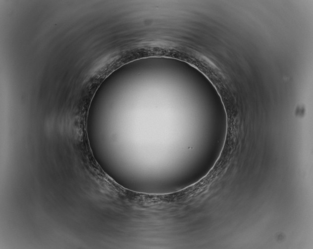 X0000102280774200807251357