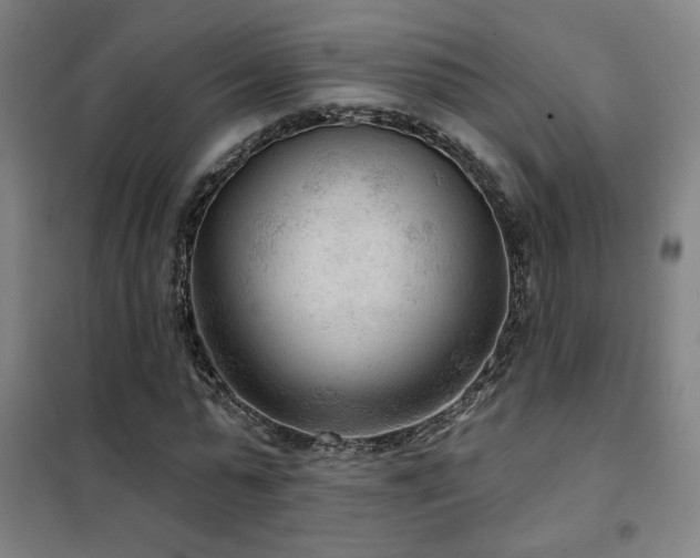 X0000102280775200807251357