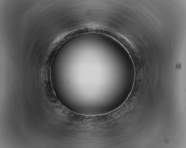 X0000102280776200807251357