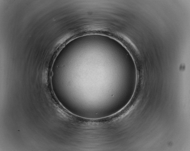 X0000102280777200807251357