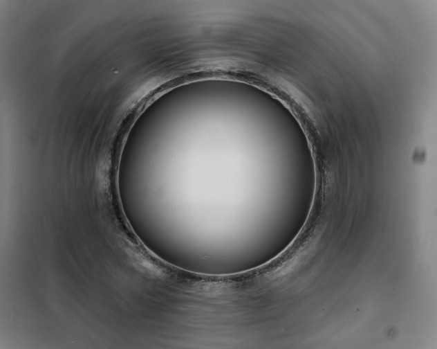 X0000102280778200807251357