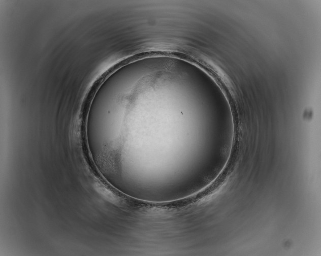 X0000102280779200807251357