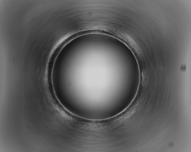 X0000102280780200807251357