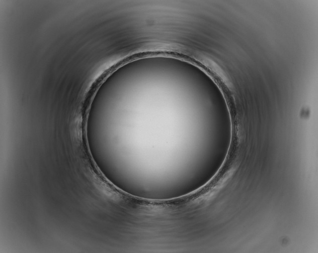 X0000102280781200807251357