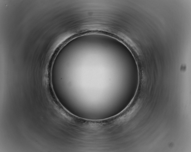 X0000102280782200807251357