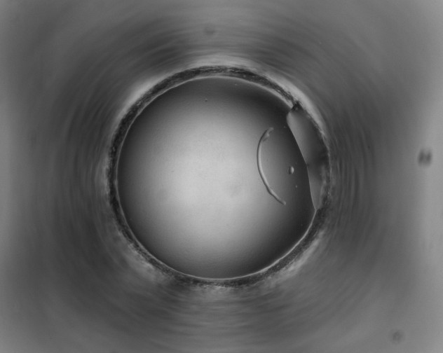 X0000102280783200807251357