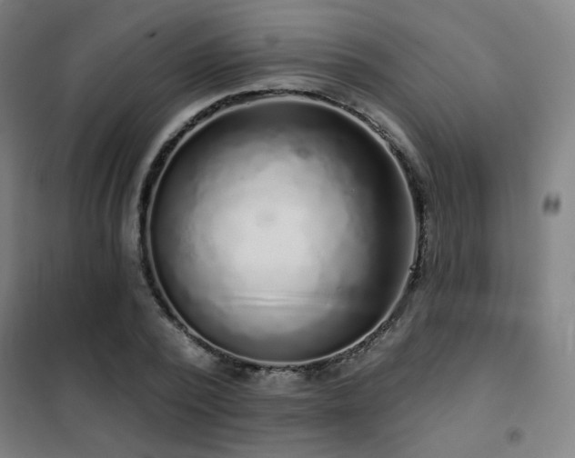 X0000102280784200807251357