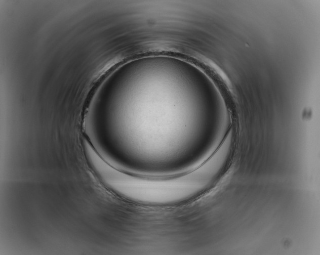 X0000102280785200807251357