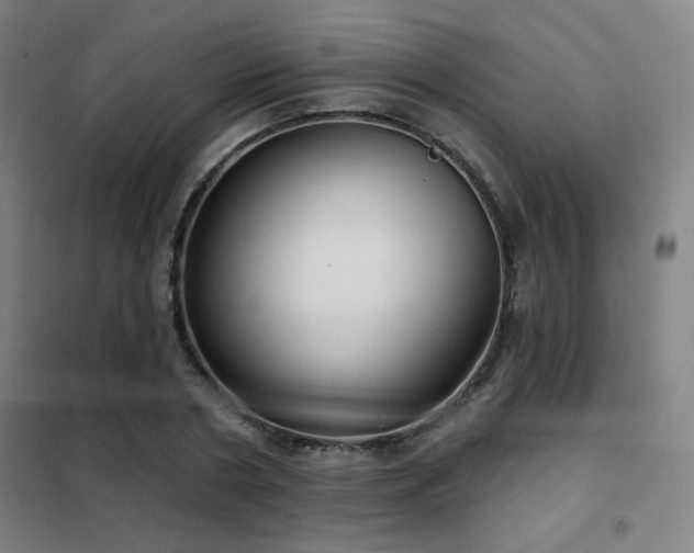 X0000102280786200807251357