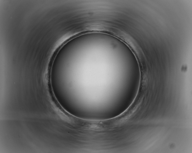 X0000102280787200807251357
