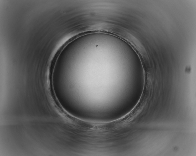 X0000102280788200807251357