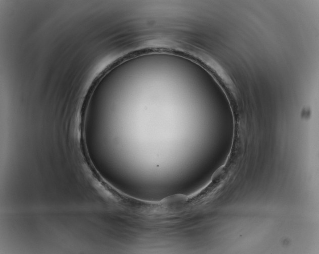 X0000102280791200807251357