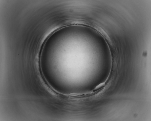 X0000102280798200807251357