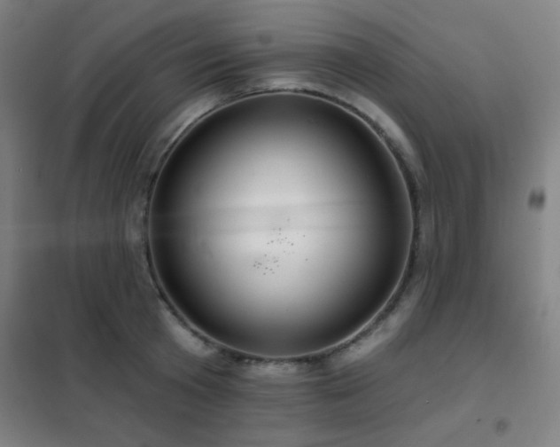 X0000102280801200807251357