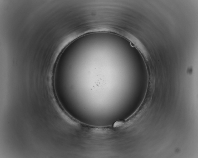 X0000102280805200807251357