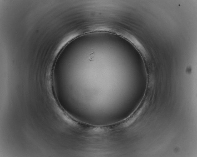 X0000102280806200807251357
