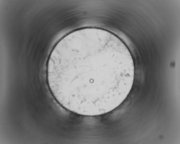 X0000102280807200807251357