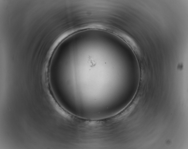 X0000102280808200807251357
