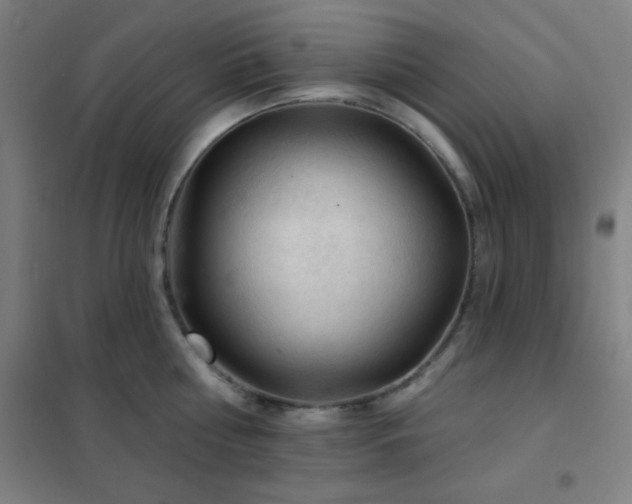 X0000102280810200807251357