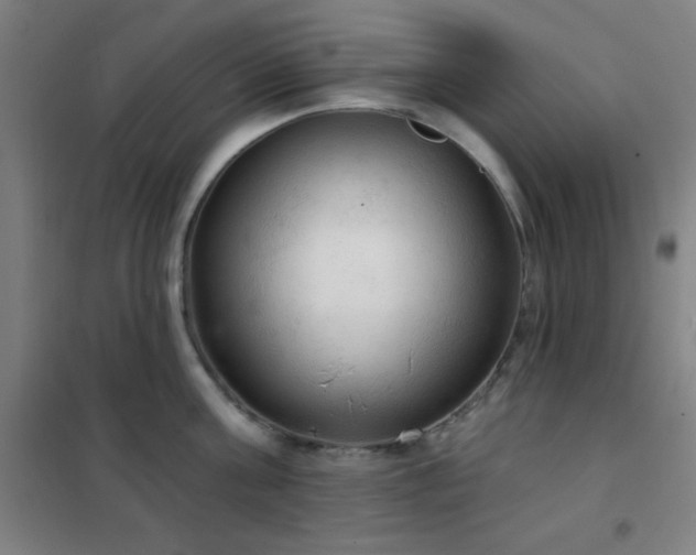 X0000102280811200807251357