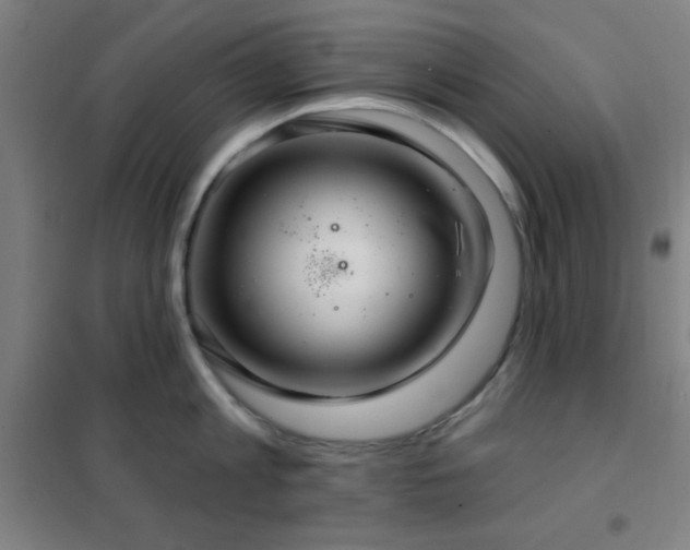 X0000102280813200807251357