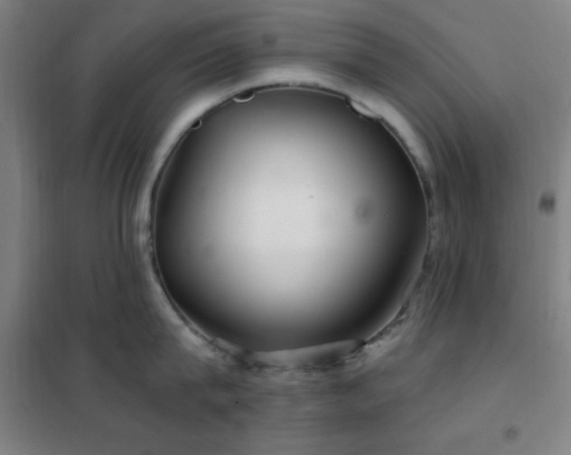 X0000102280815200807251357