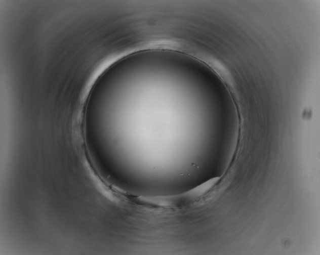 X0000102280816200807251357