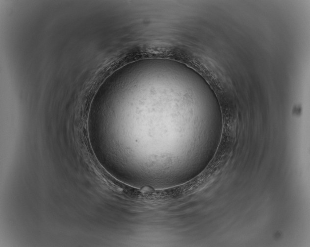X0000102280817200807251356