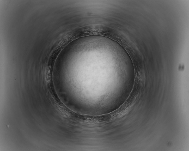 X0000102280818200807251356