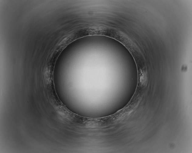 X0000102280819200807251356