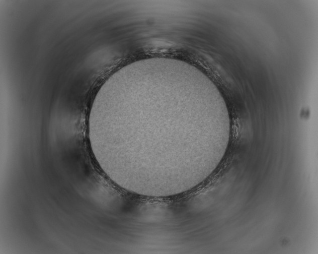X0000102280820200807251356