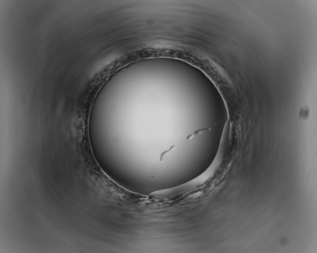 X0000102280821200807251356