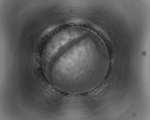 X0000102280822200807251356