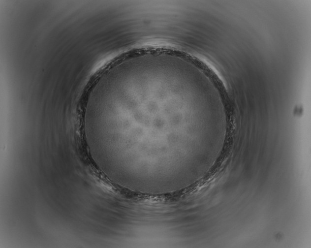 X0000102280823200807251356