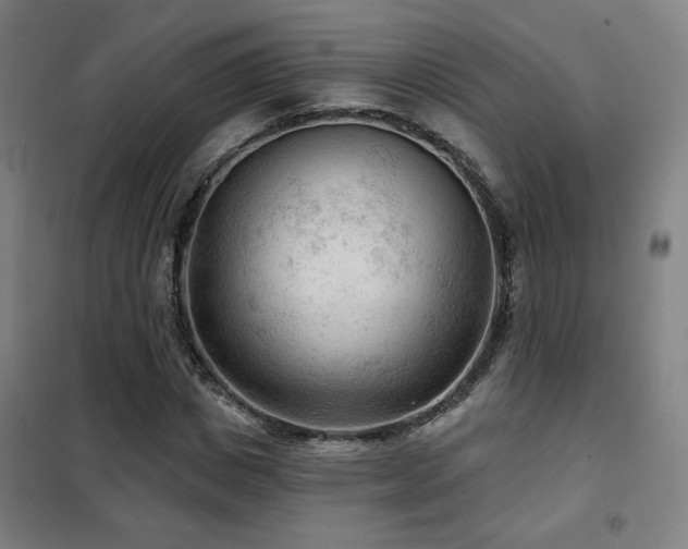 X0000102280825200807251356