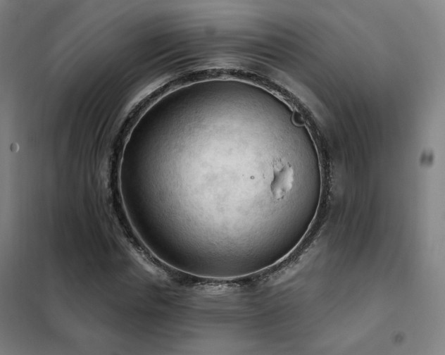 X0000102280826200807251356