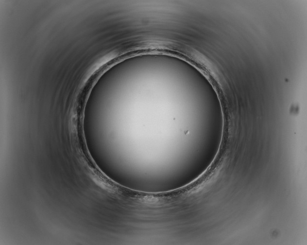 X0000102280827200807251356